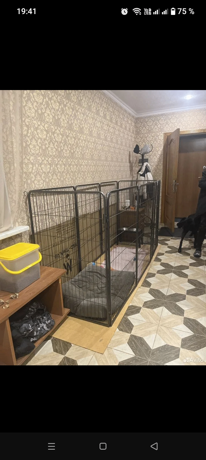 Вольер для собак 
