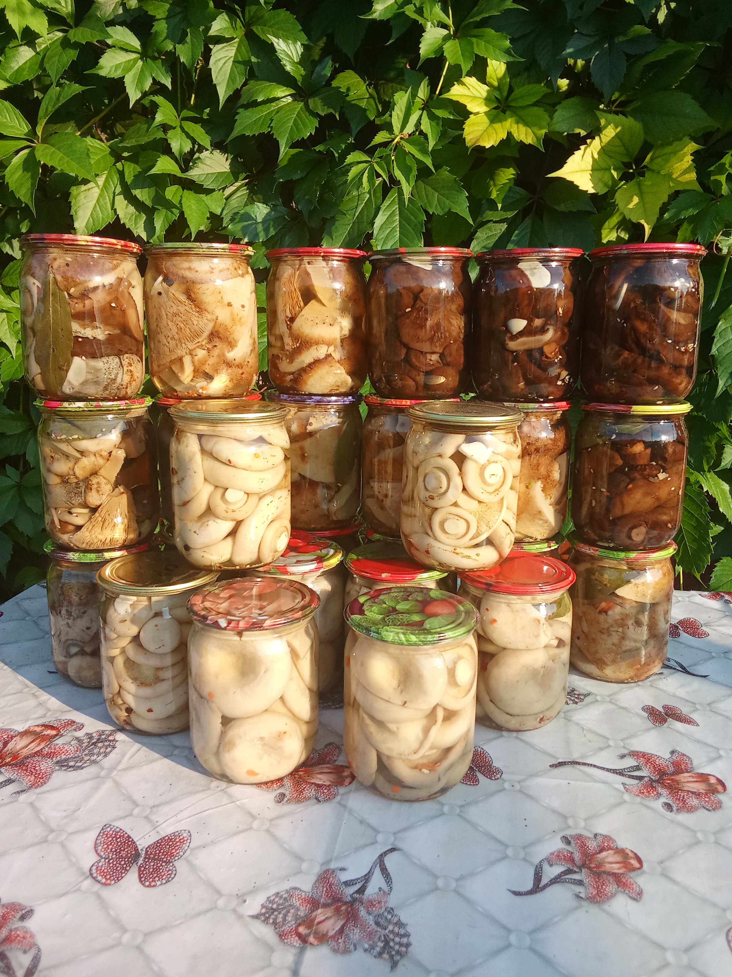 Грибы маринованные