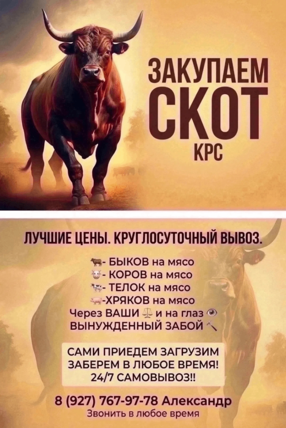 Закупаю КРС